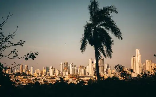 Costa del Este, Panama - modern skyline with palm trees